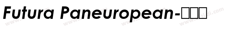 Futura Paneuropean字体转换